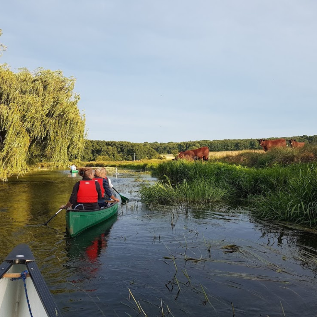 Canoe Wild