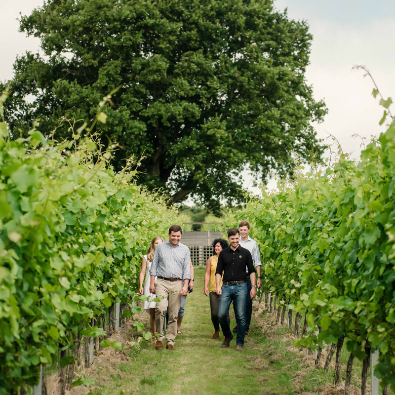 Gusbourne 800X800