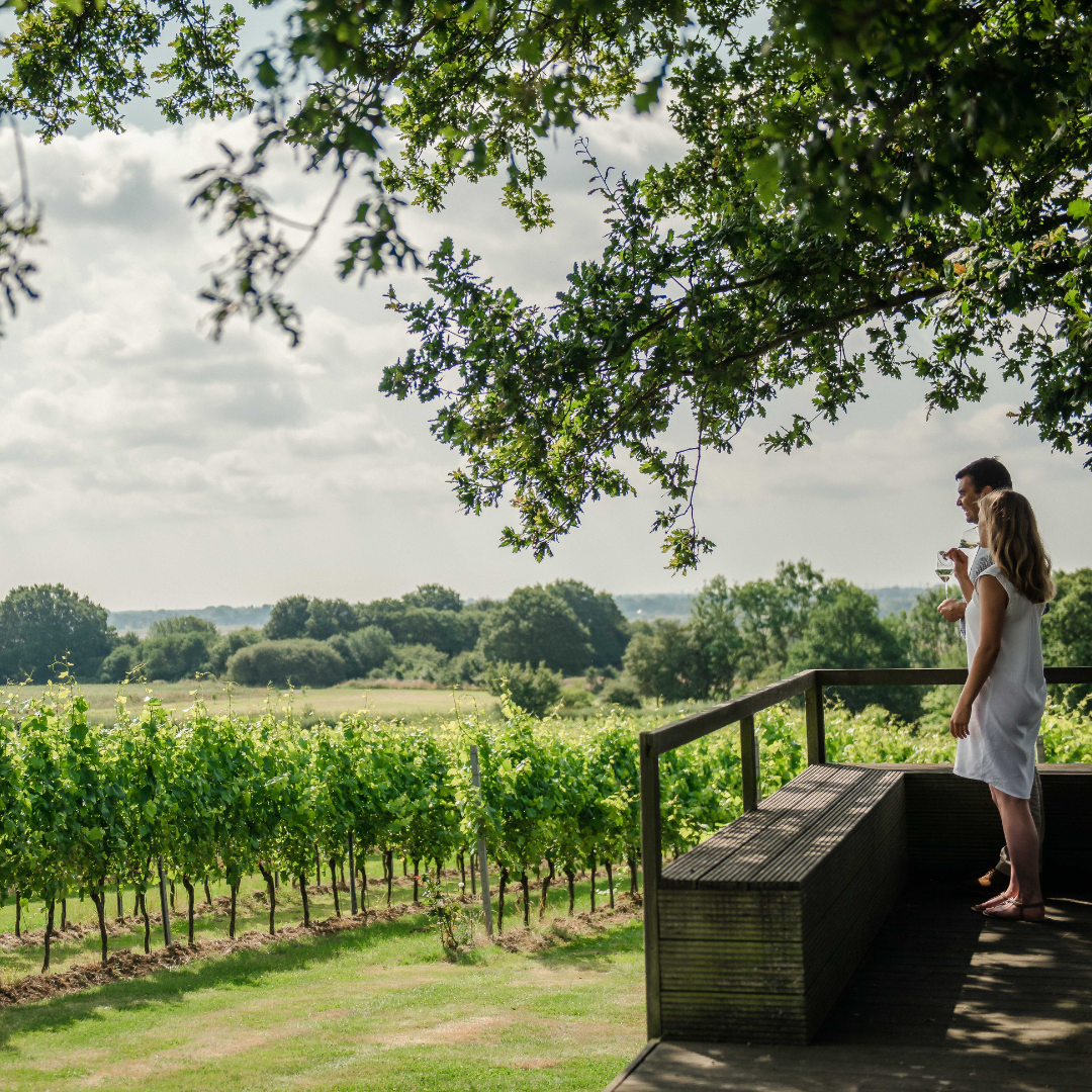 Gusbourne (2)