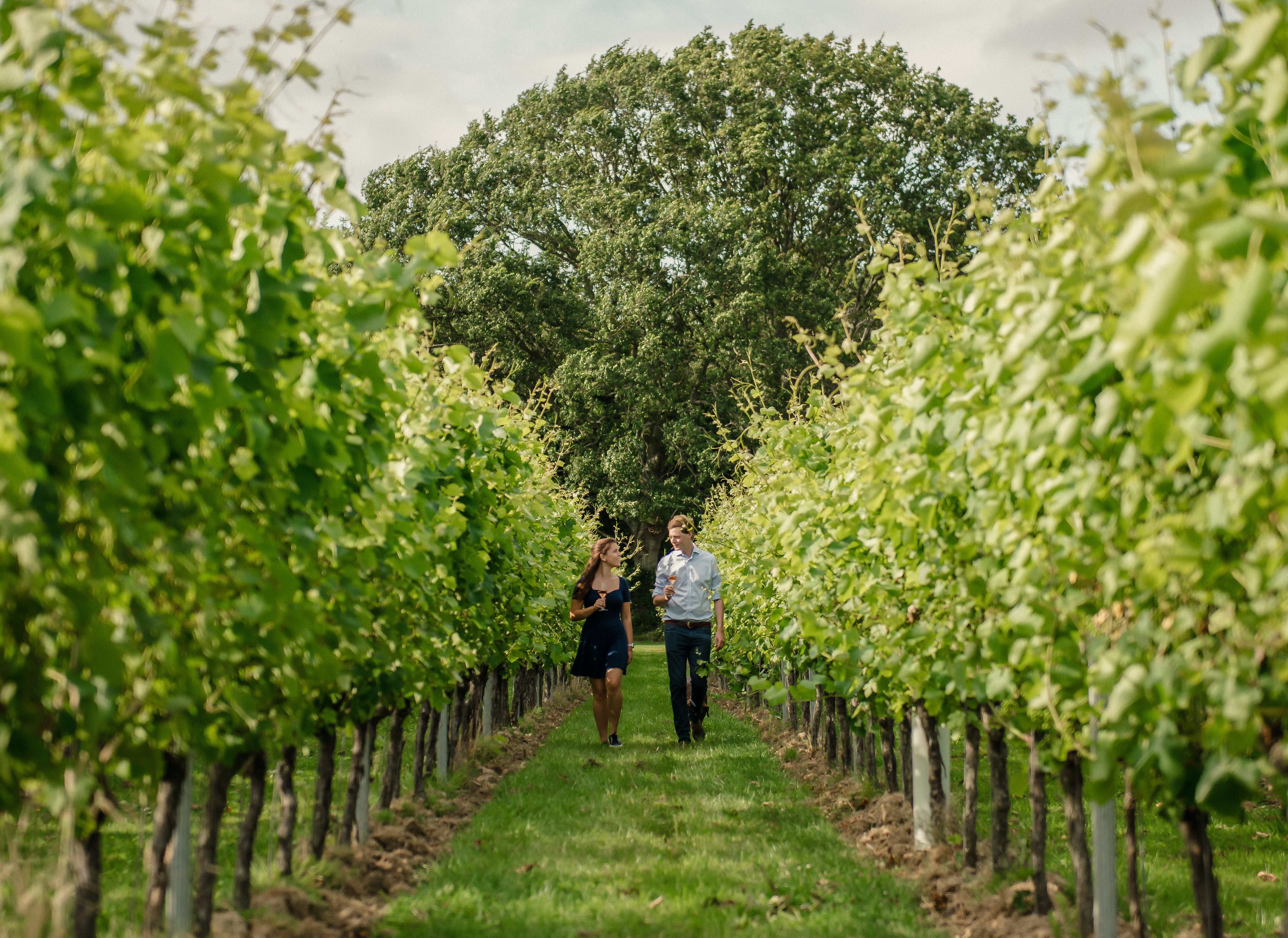 Gusbourne 1134 Edit