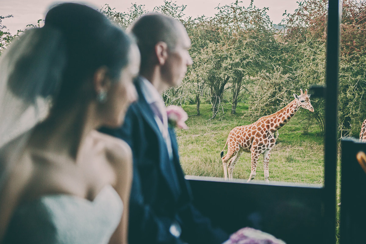 PORT LYMPNE HOTEL 2