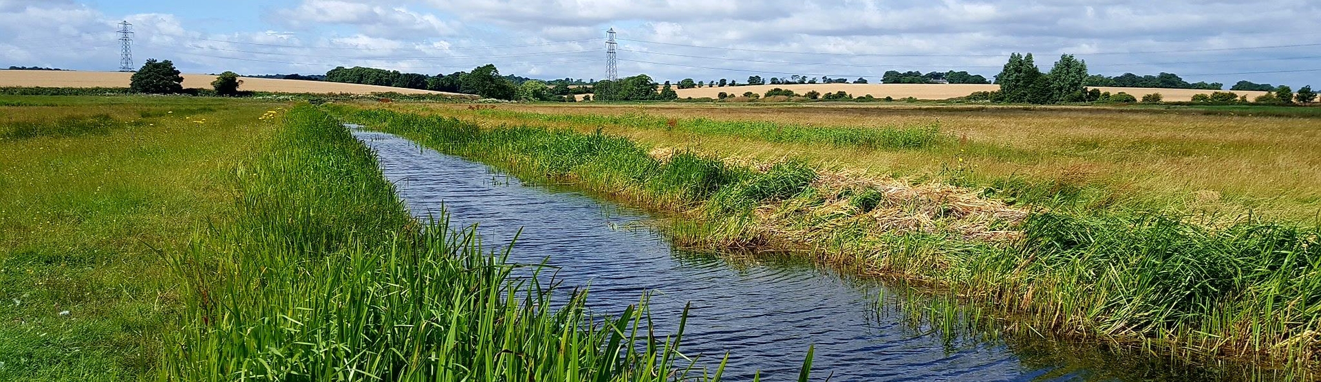 Ham Fen