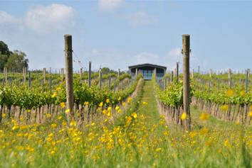Woochurch Wines, Checked Oct2020