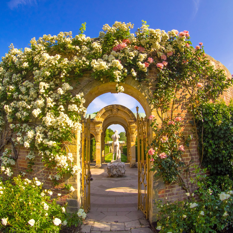 Hever 800X800