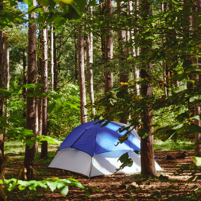 Badgells Camping 800X800
