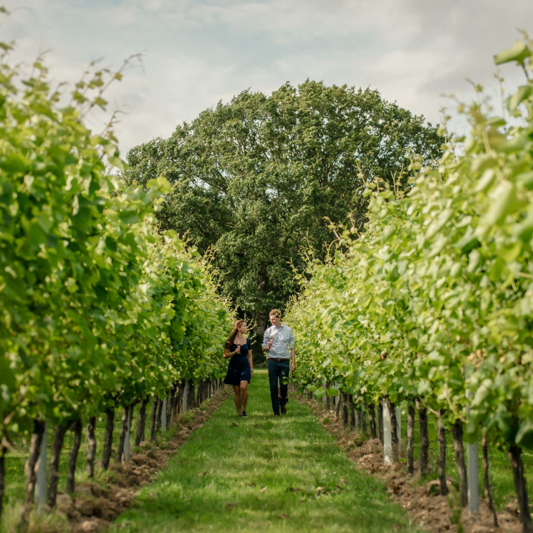 Gusbourne (5)
