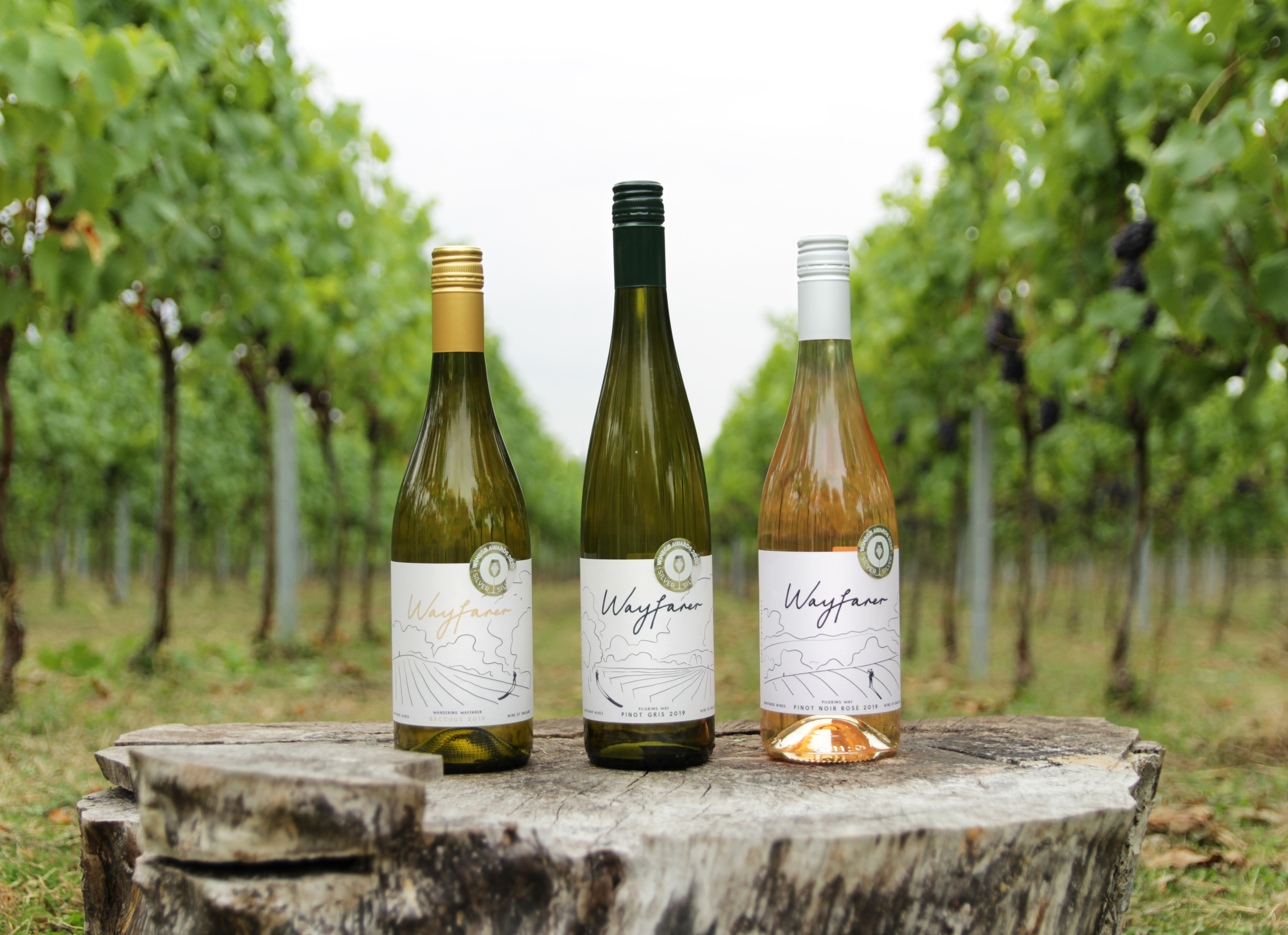 Wayfarer Wines 4 (Jan2022)