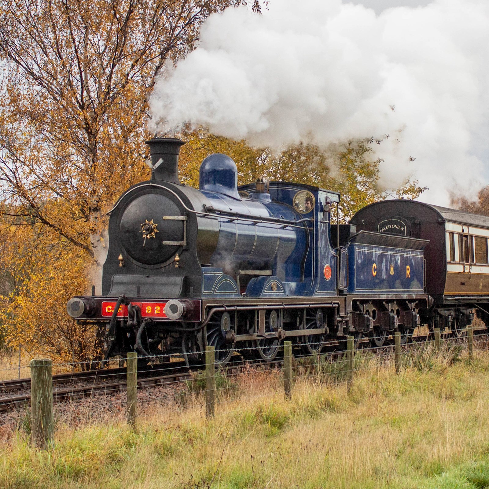 The Spa Valley Railway