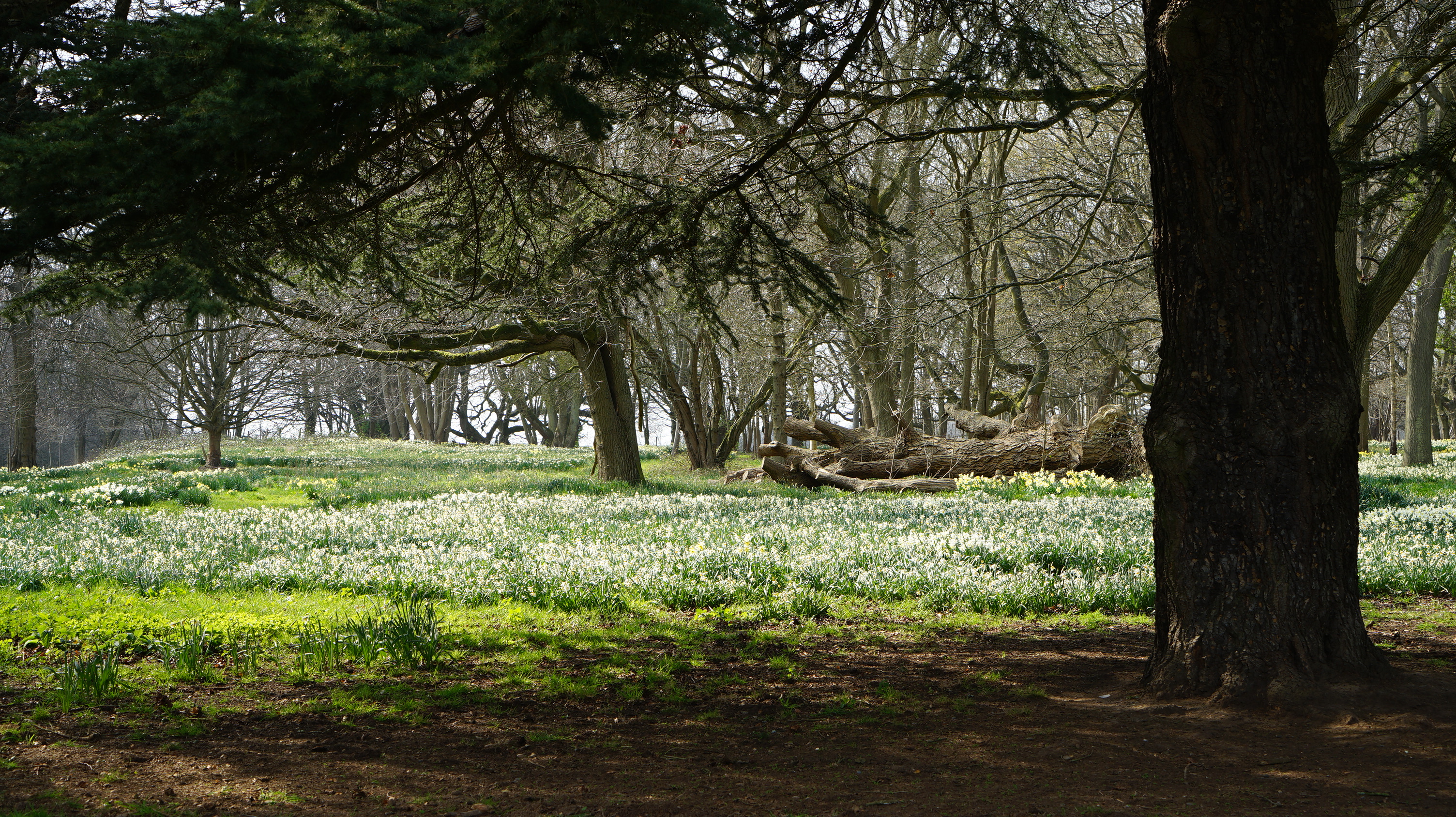Cobham Hall5