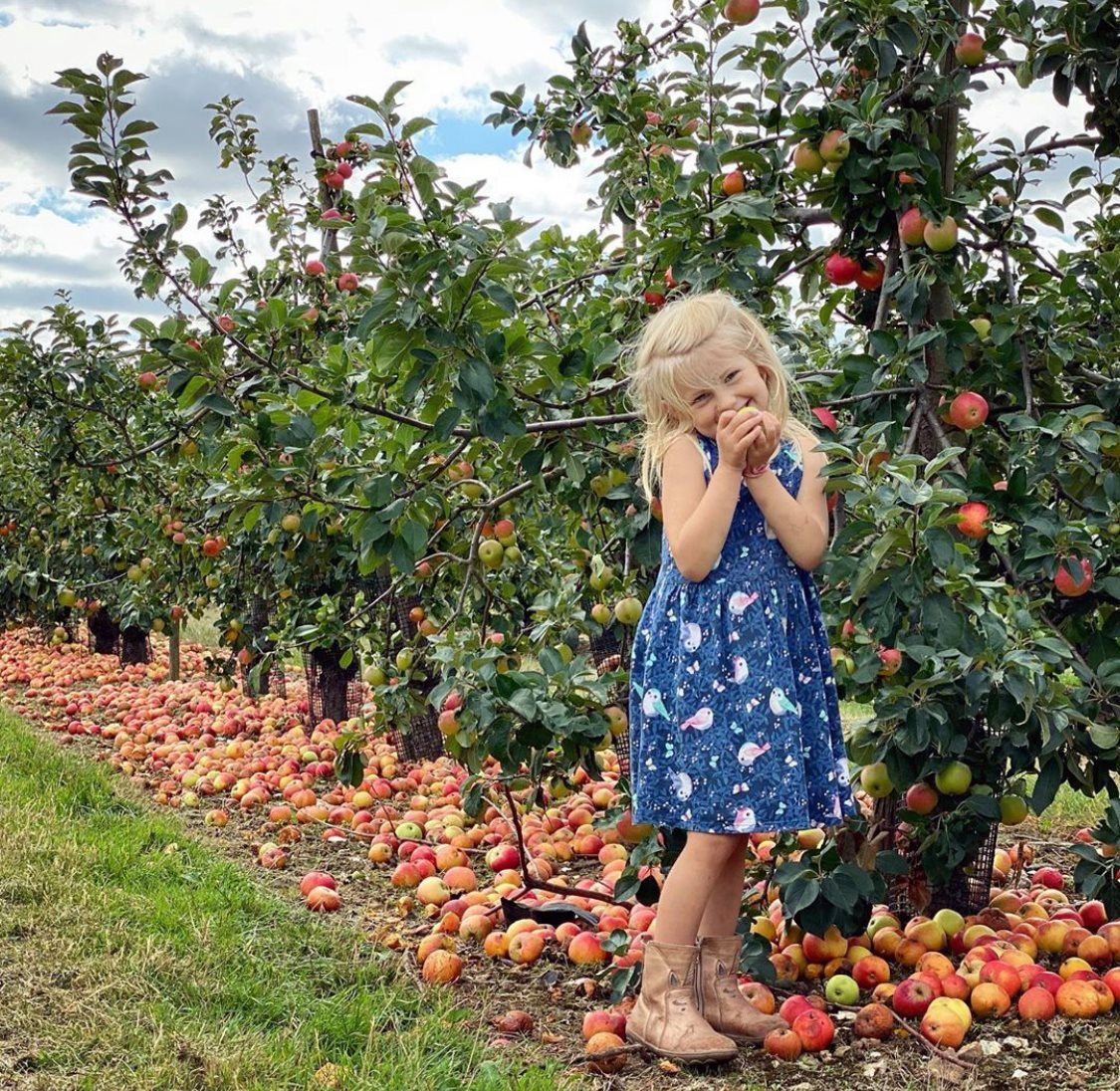 Heritage Orchard 1