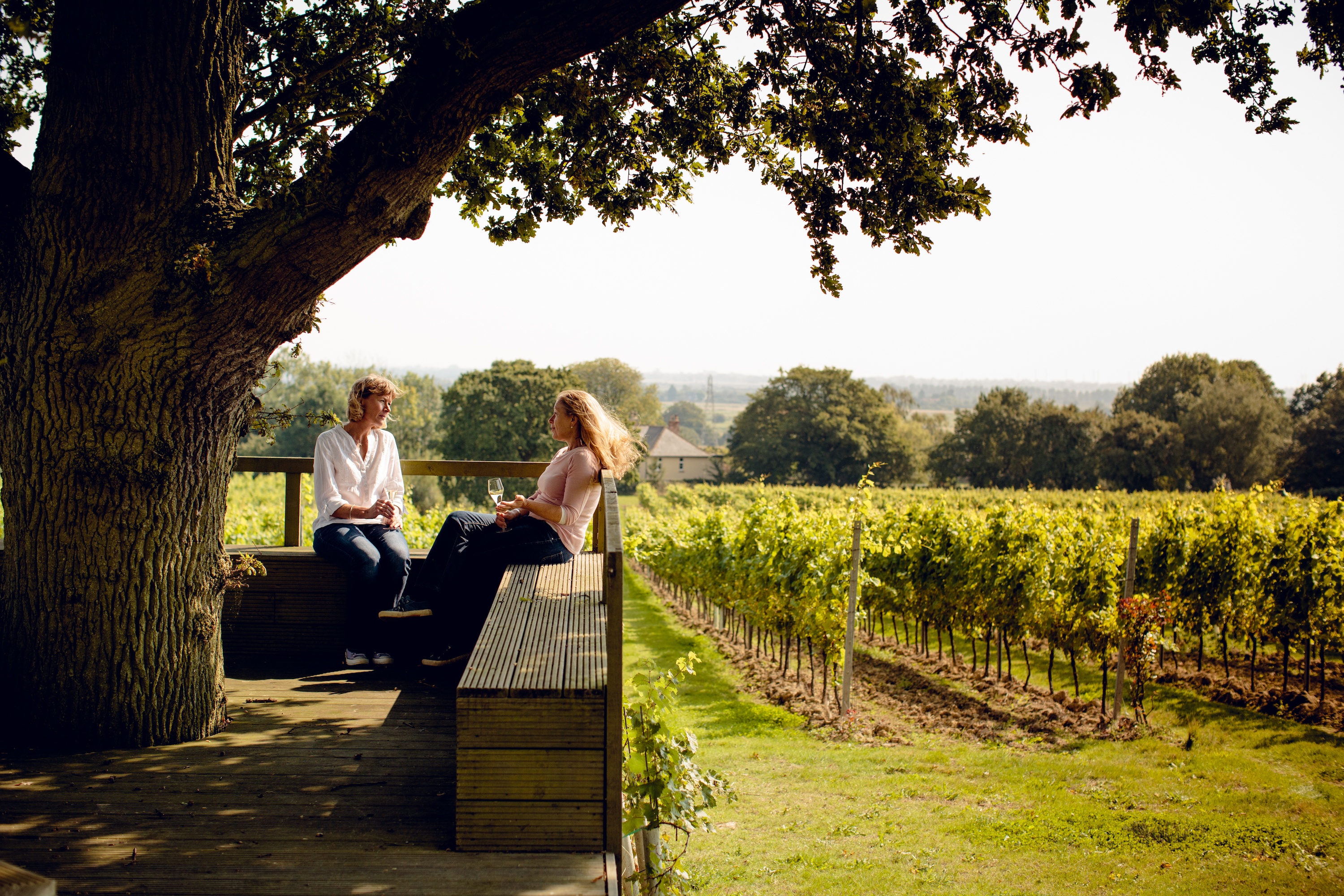 Kristen in vineyard small.jpg