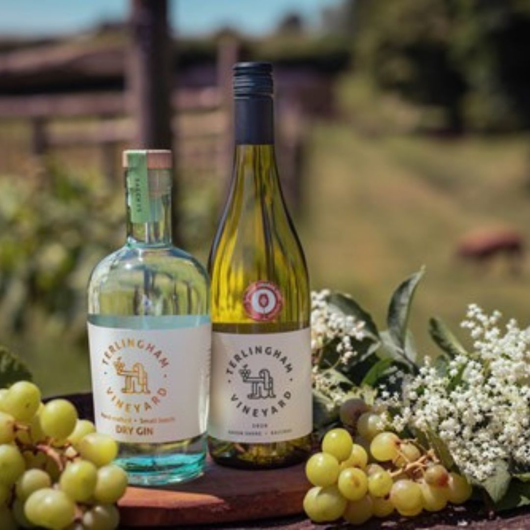 Bottles of Terlingham wine with grapes in the foregound