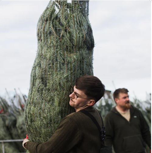 Christmas tree