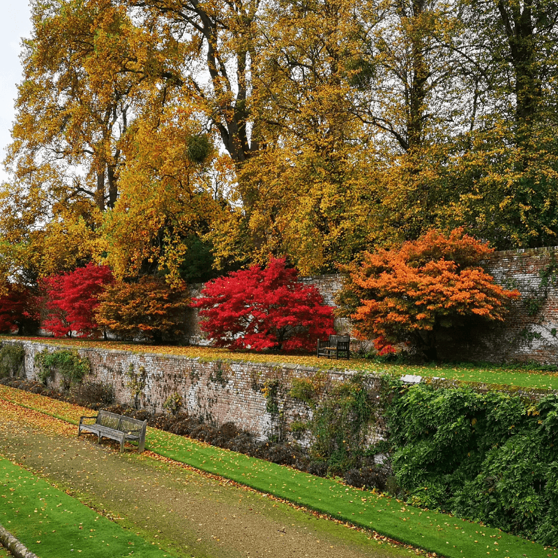 Penshurst Place