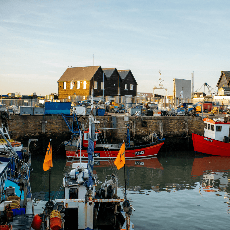 Whitstable 800X800
